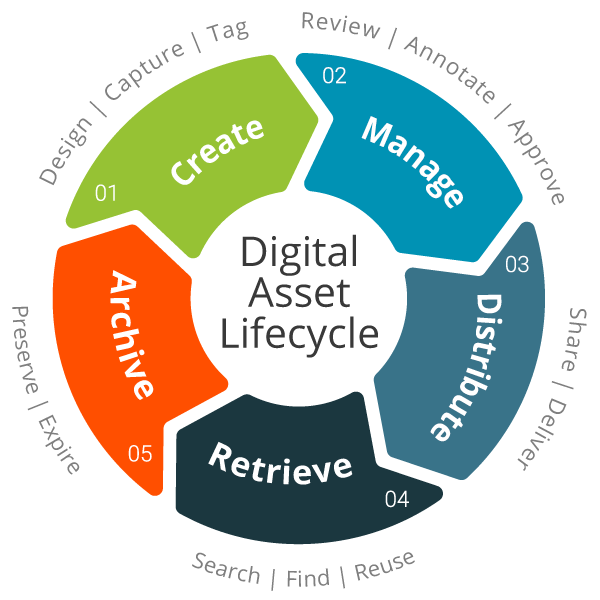 digital asset lifecycle