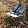 Image of Laptop in the woods