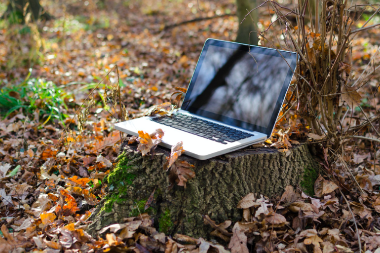 Image of Laptop in the woods