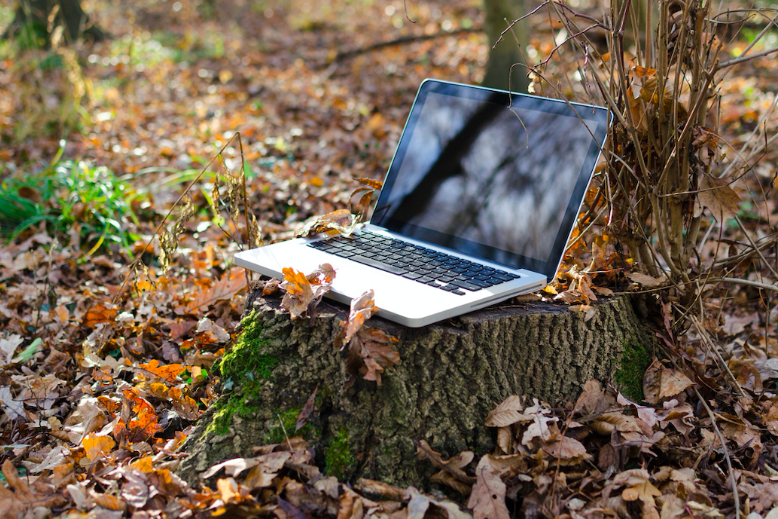 Laptop in the woods to illustrate the state of remote work for project managers 