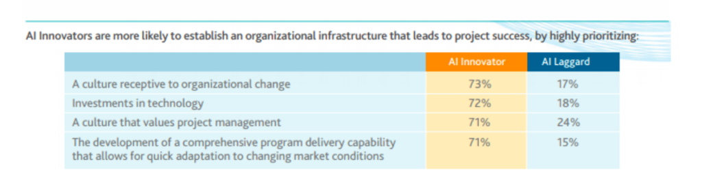 Organizational infraestructure for Project management AI 